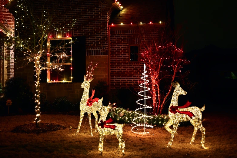 christmas lights and fake deer in front of house