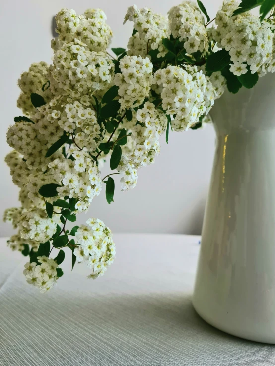 a close up view of flowers in a white vase