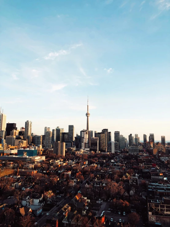 the city skyline from the top of the hill