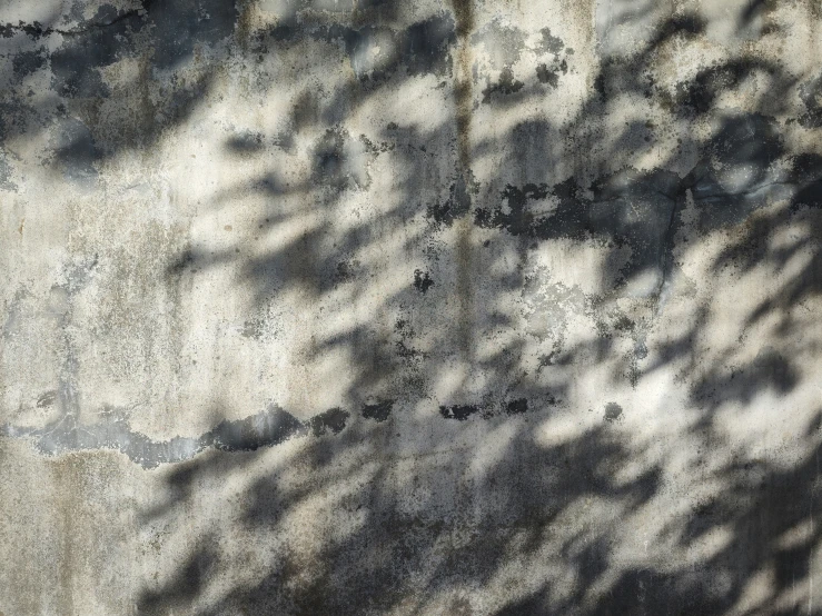 shadow on an old concrete wall with several large pieces of furniture below