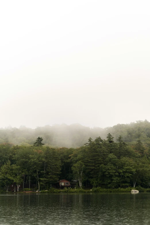 a large body of water surrounded by trees