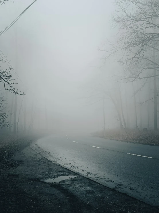 a very dark road and a single tree