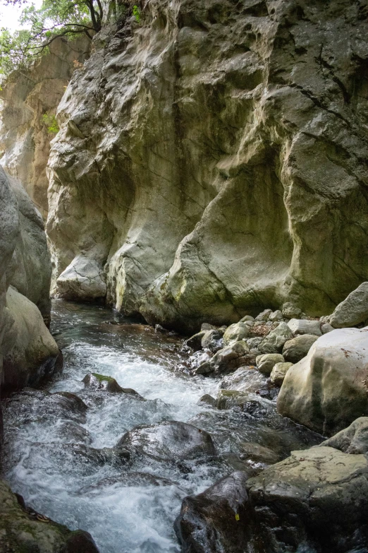 the water in this stream is running through the mountains