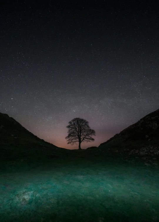 a tree is sitting in the distance under the night sky