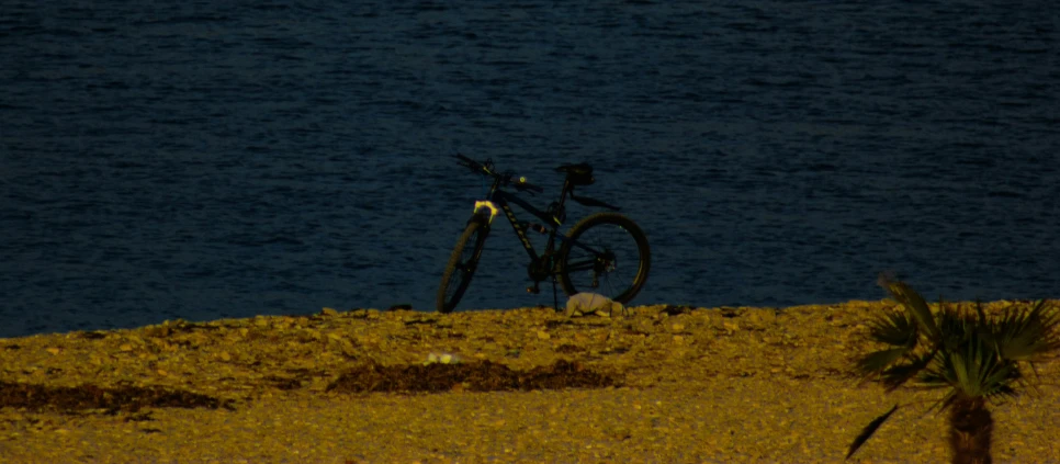 a bicycle rests against the edge of a beach