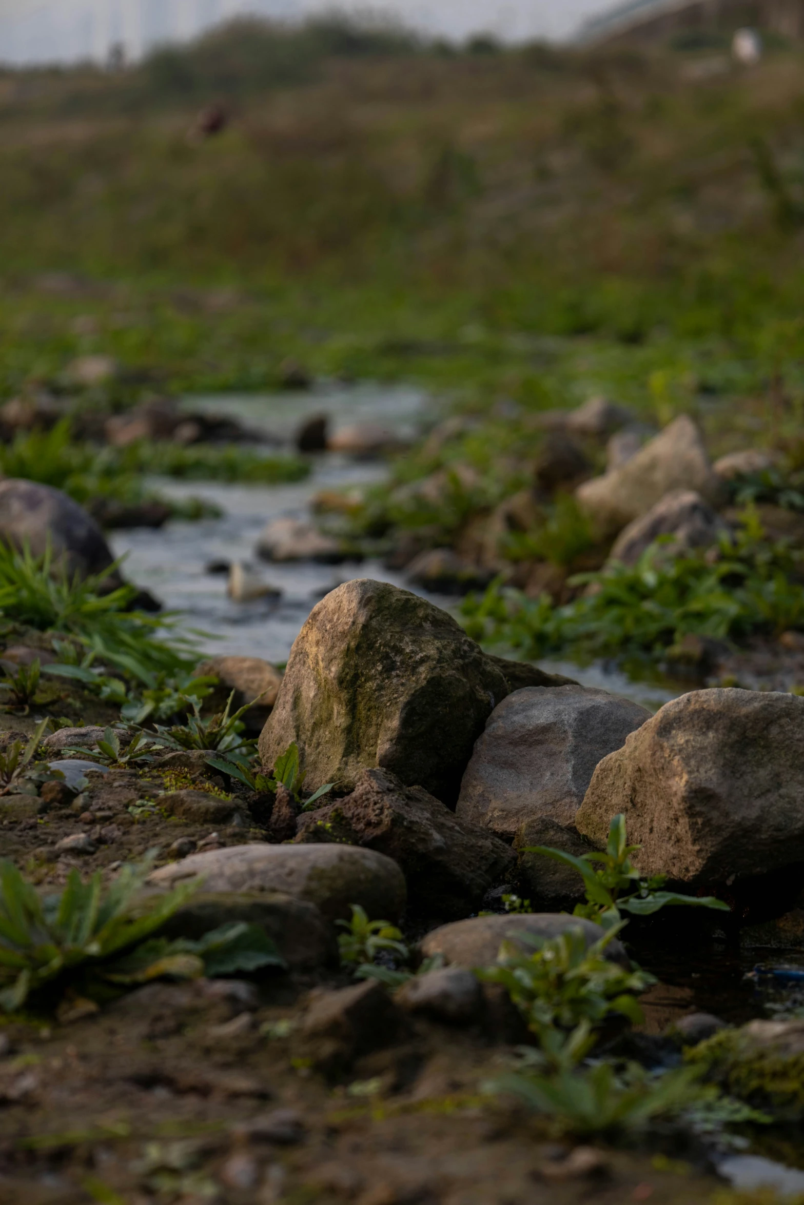 a grassy field is shown with rocks and water running down the hillside