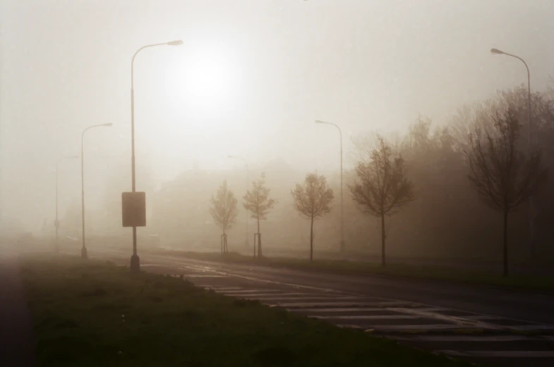 a foggy street light pole sitting in the middle of a grass covered road