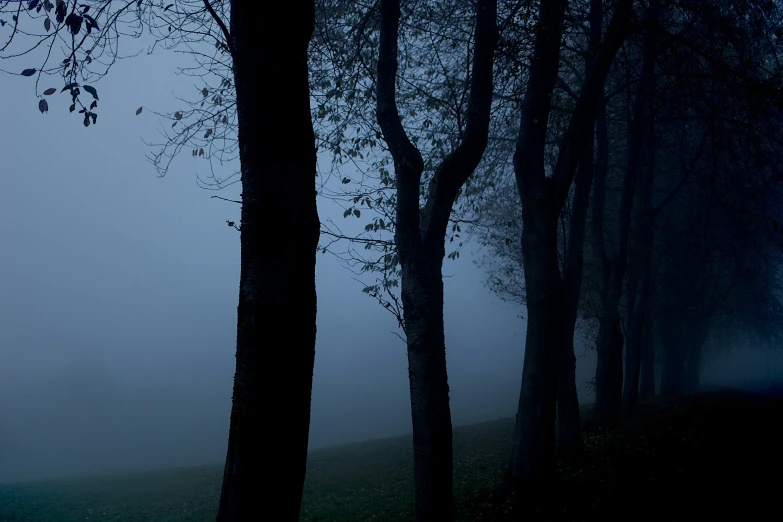 a road that has some trees in the fog