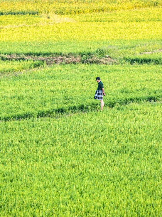 the  is walking through the large field