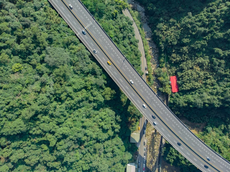 a highway surrounded by green trees and some tall bushes