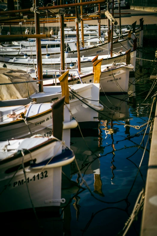 boats in the water, tied up to poles and connected by wooden posts