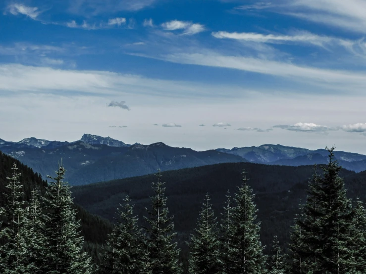 mountains can be seen in the distance near many trees