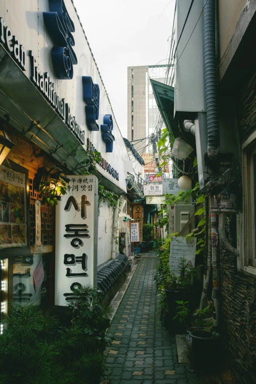 an alley way with businesses on both sides of it