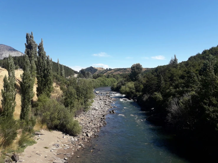 a river is flowing through a forested area