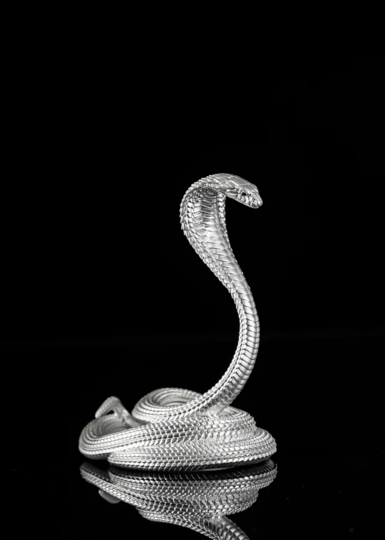 a snake is shown on the black background