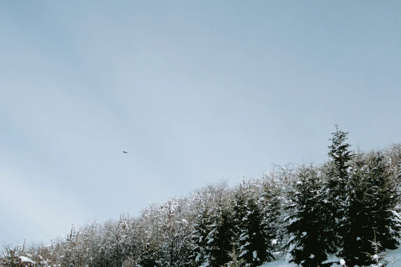 people skiing on the slopes of a mountain