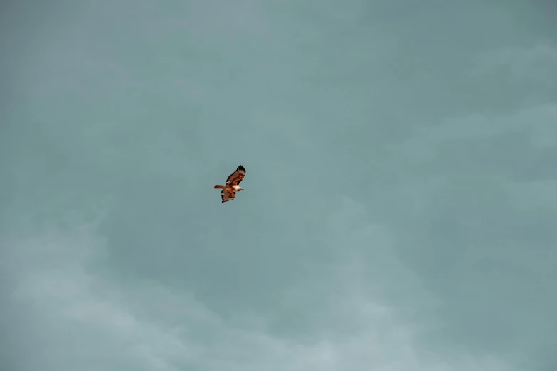 an airplane is flying through the air on a cloudy day