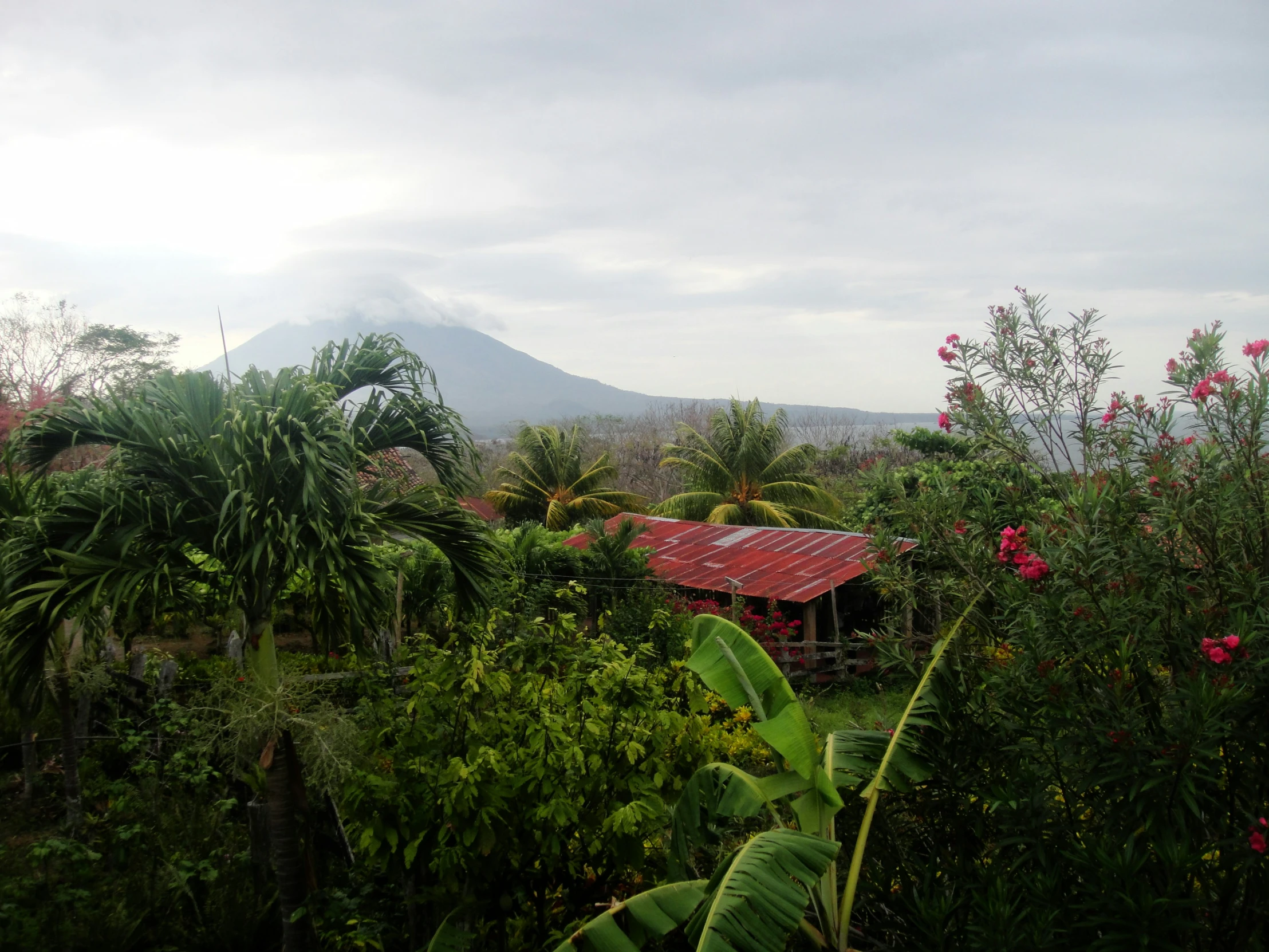 a scenic forest area with a house and a mountain in the distance