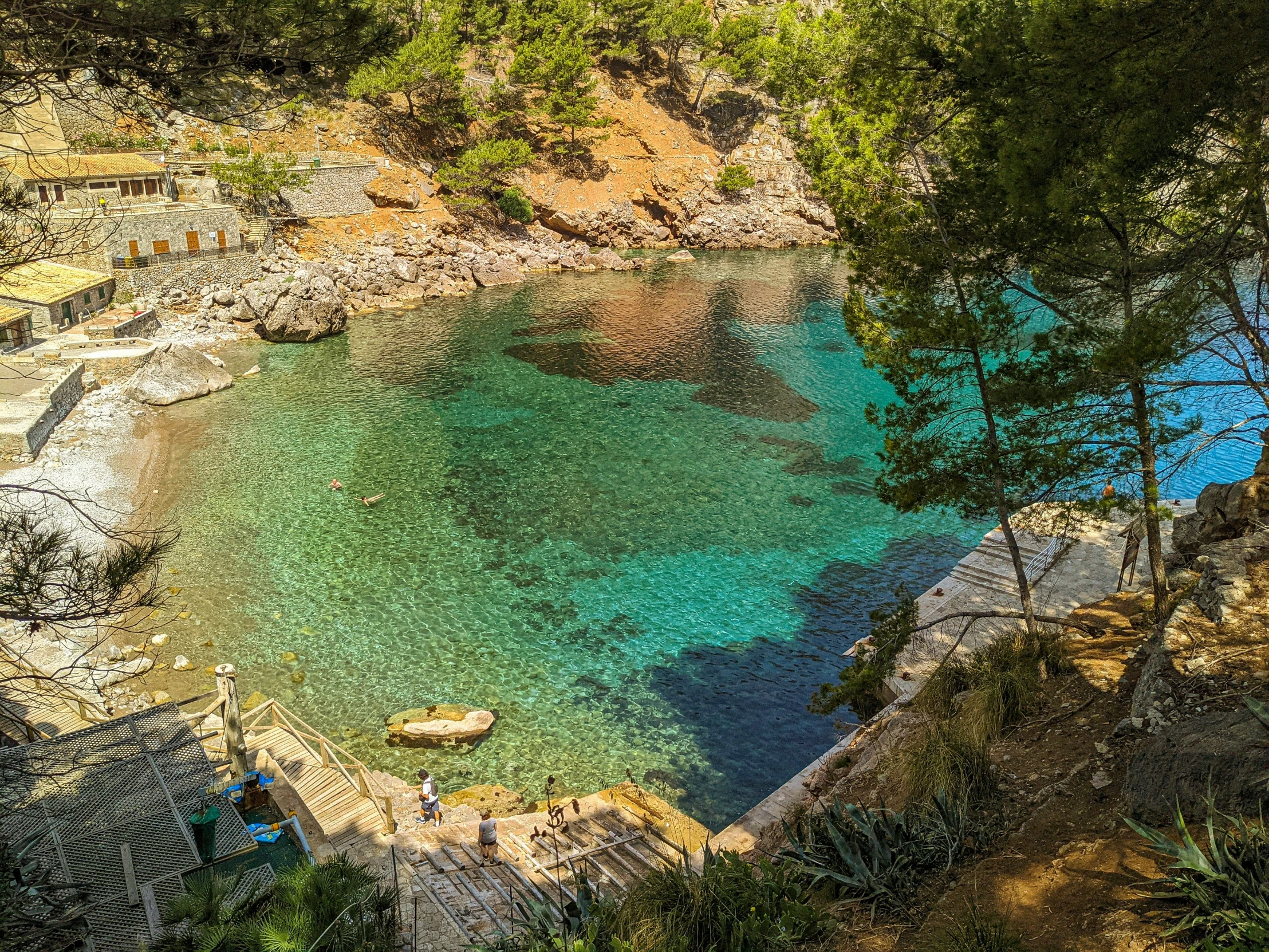 an aerial view of a water source surrounded by trees