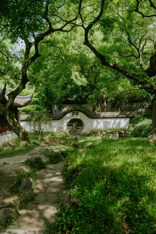 a garden with a path in the middle and green grass on the ground