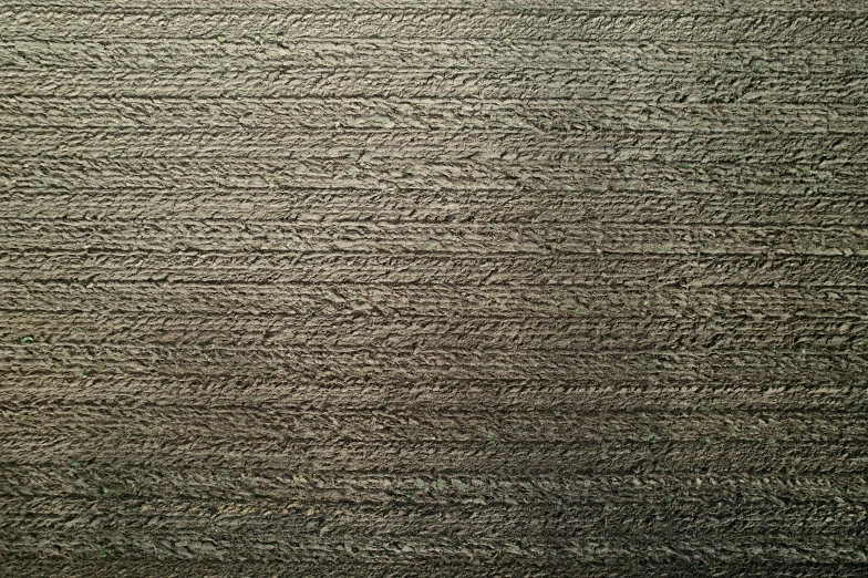 a black and white po of the texture of soing that looks very strange