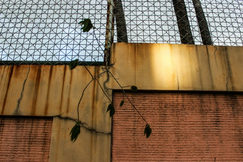 an old wall with a wire fence and plants growing on it