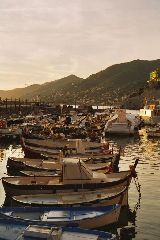 several row boats sit in the harbor on the water