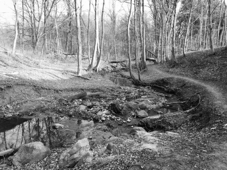 a dirt road near some trees on a hill