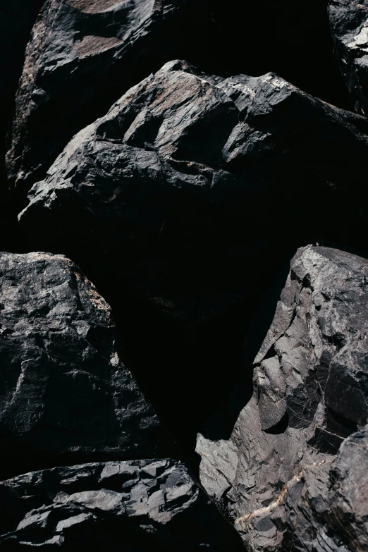 a bird sitting on some large rocks outside