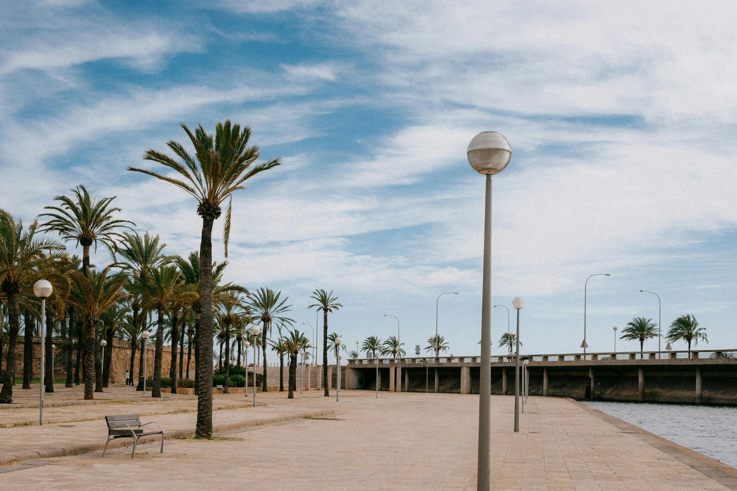 palm trees line the beach next to a dock