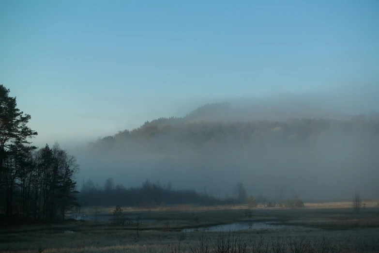 a foggy mountain covered in lots of trees