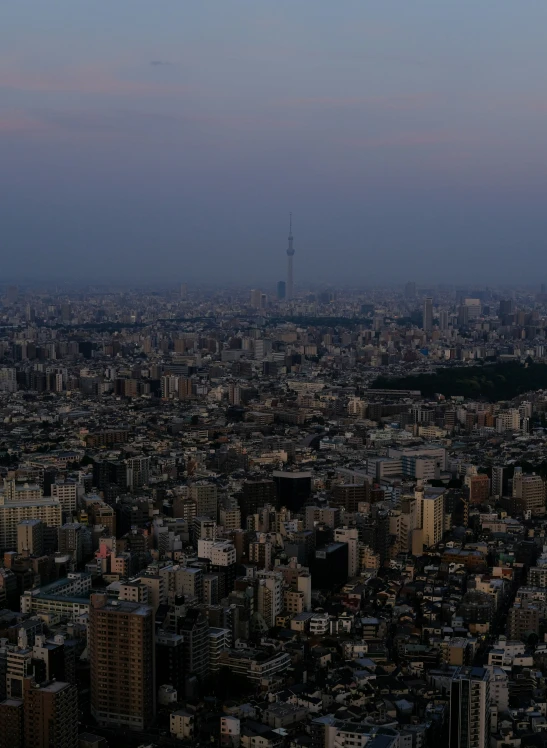 a view of a city with buildings, a large spire, and a blue sky at dusk