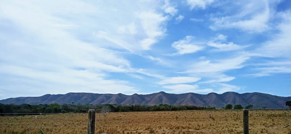 a field of grass with mountains in the distance