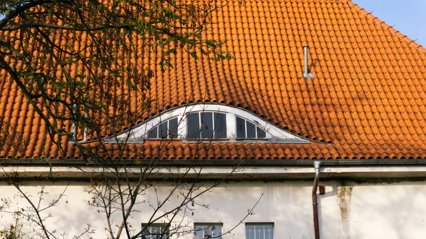 a picture of a house and a tree