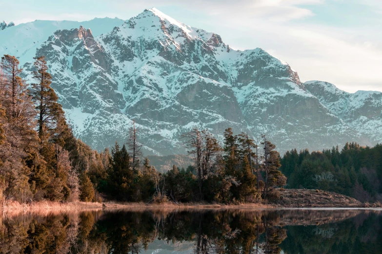 a snowy mountain rises above some trees in the water