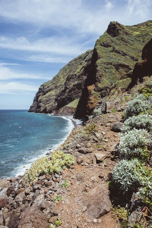 a dirt trail near the ocean on a sunny day