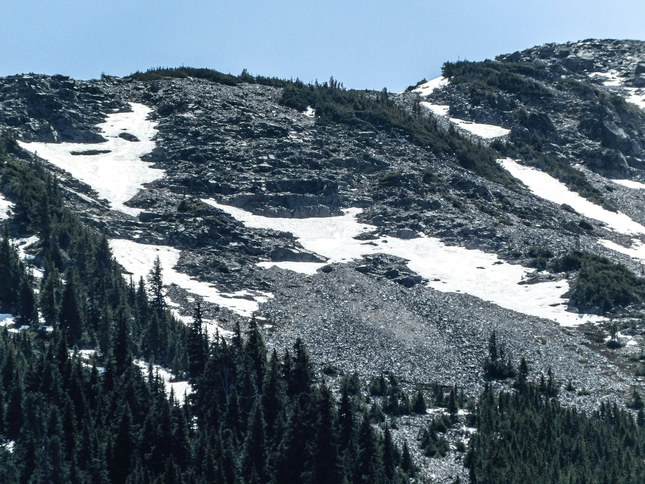 a mountain with trees on the side and a large snow covered hillside