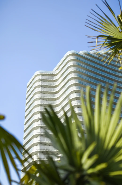 view of the sky from a palm tree outside of the building