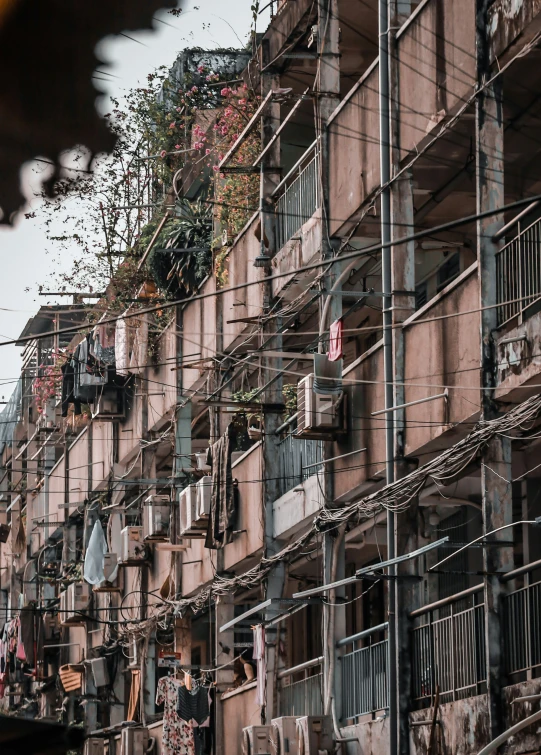 many building with clothes hanging from the upper floors and plants growing on the top