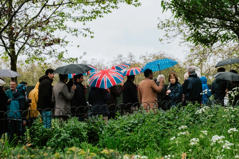 several people standing outside near trees with umbrellas