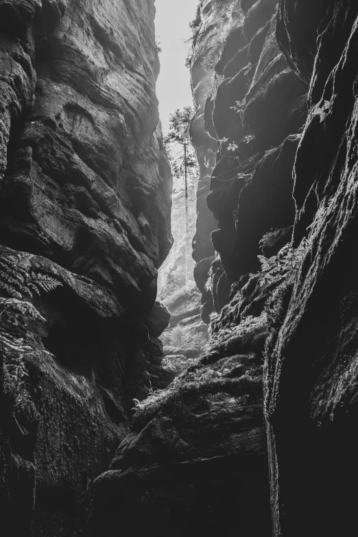 a view into the distance of a narrow mountain side with trees in the middle