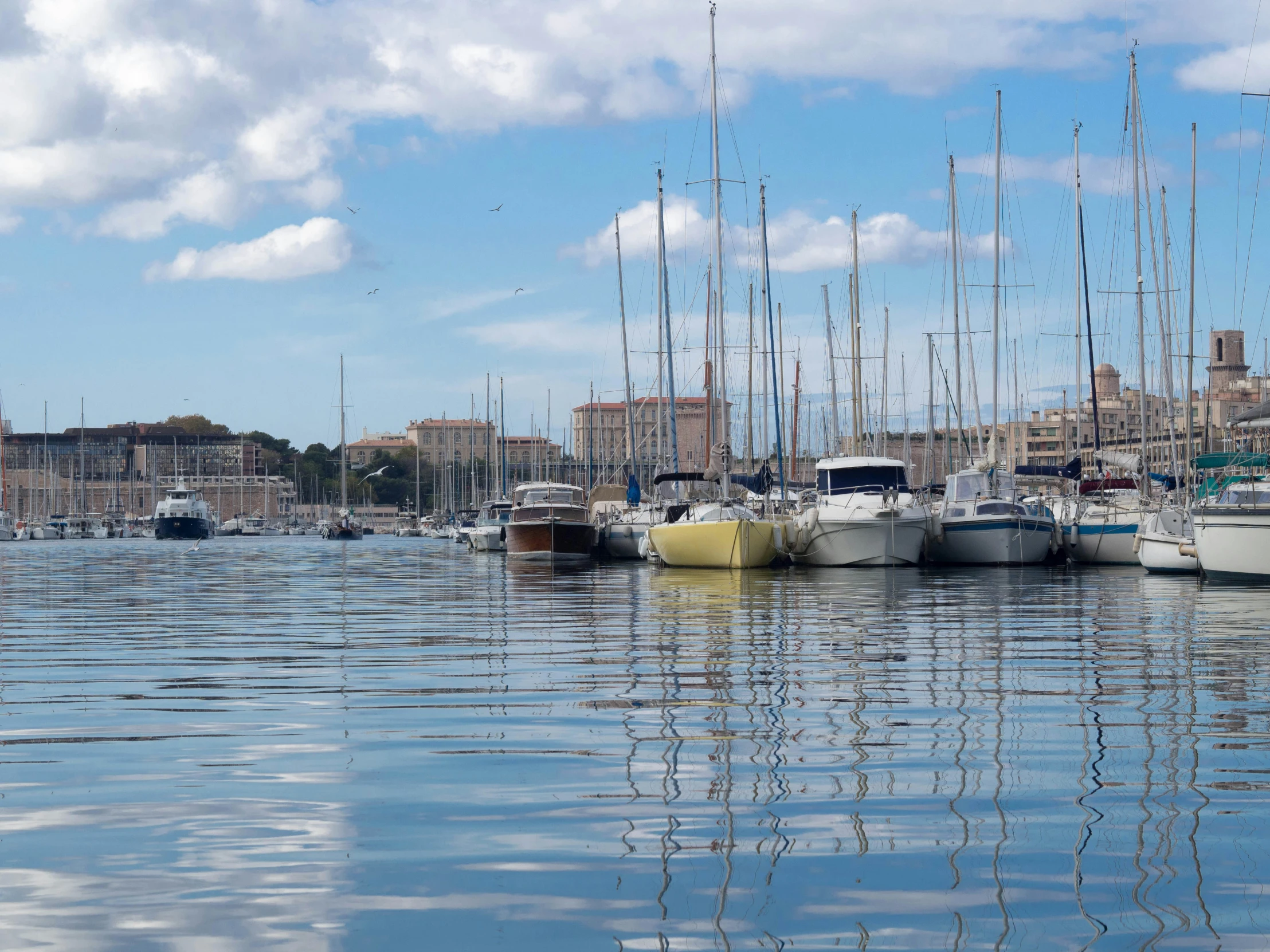 a group of sail boats docked in a harbor