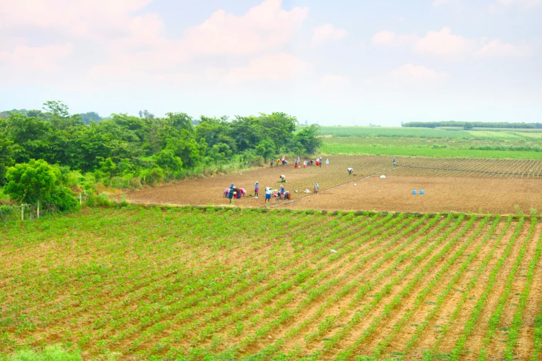 a big farm land with some people walking around