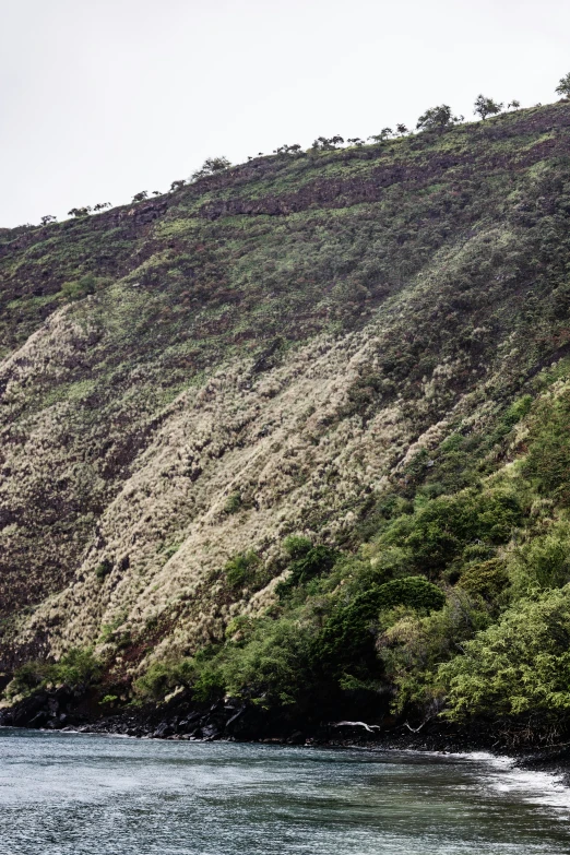 the cliff is located on a hill that faces the sea