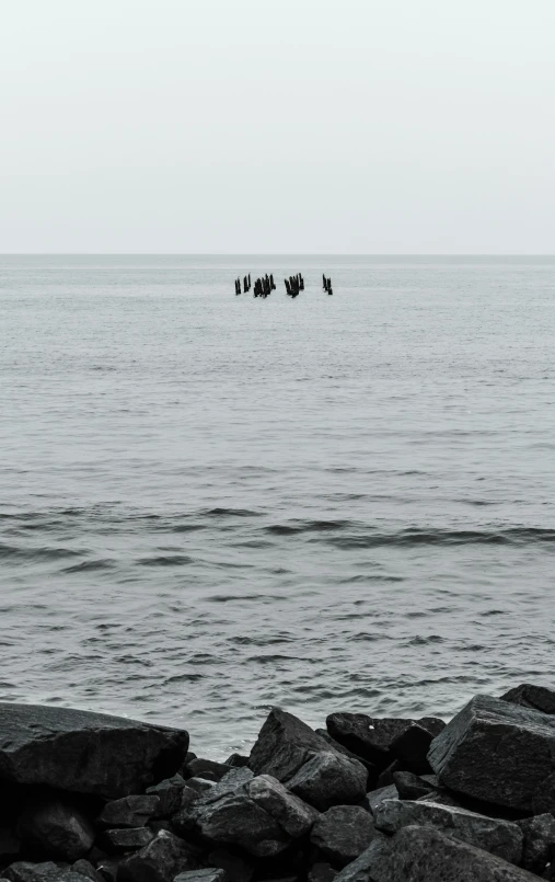 birds sitting on rocks by the sea and three jettys in the distance