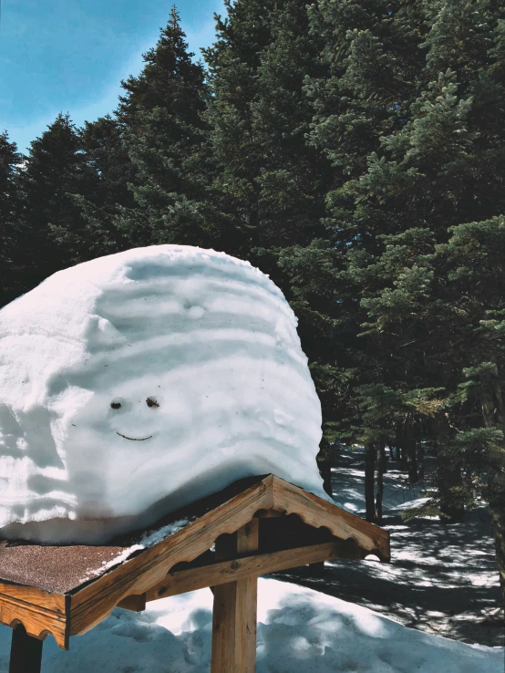 an snowman is sitting on a roof in the winter