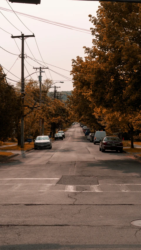 cars are parked along the curb on a street