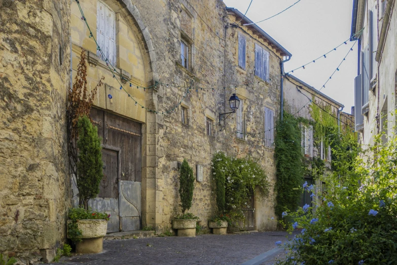 an empty alley with a building covered in vines