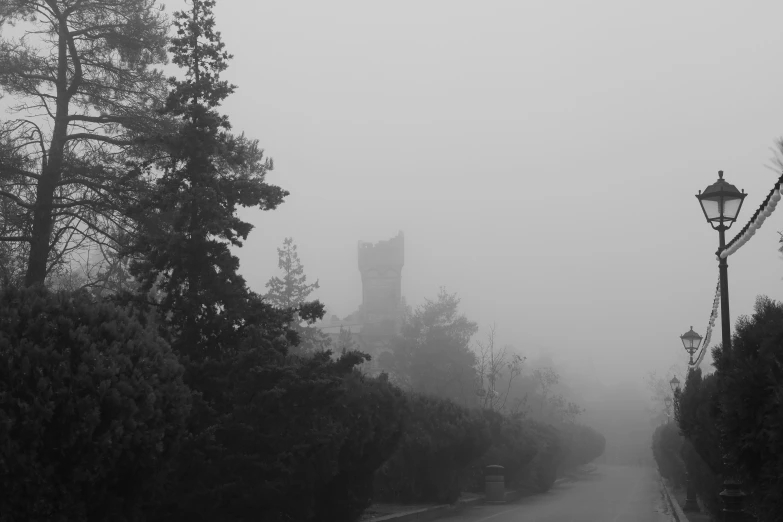 street lamp along roadway in dense area with fog