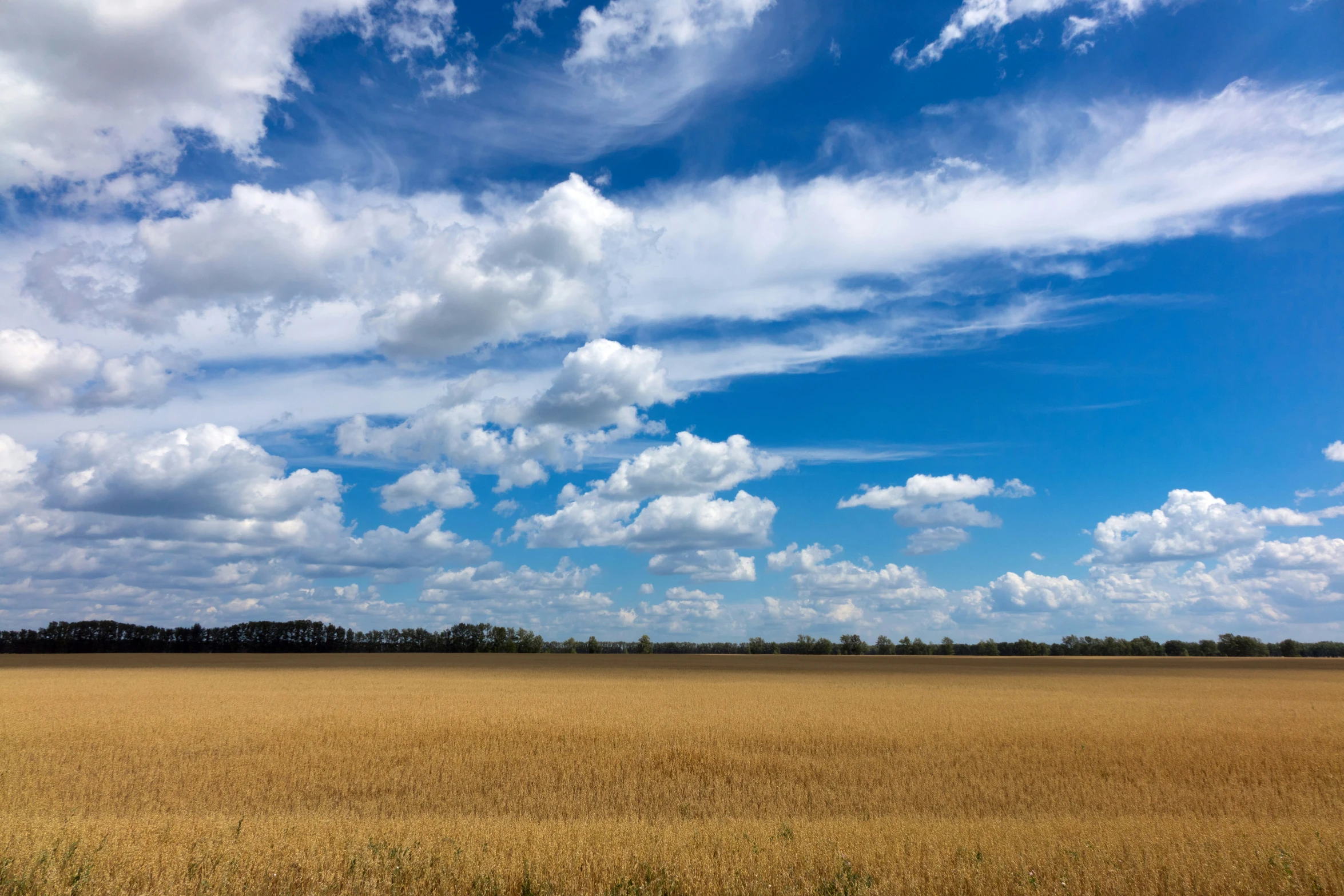 a train traveling through a rural countryside under clouds